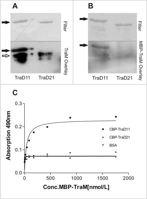 FIG. 2.