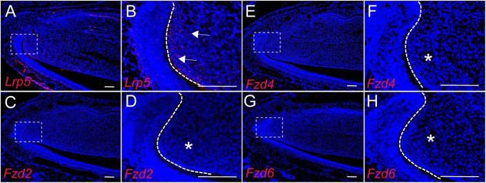 Figure 4—figure supplement 4.