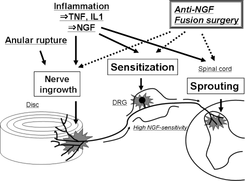 Fig. 1