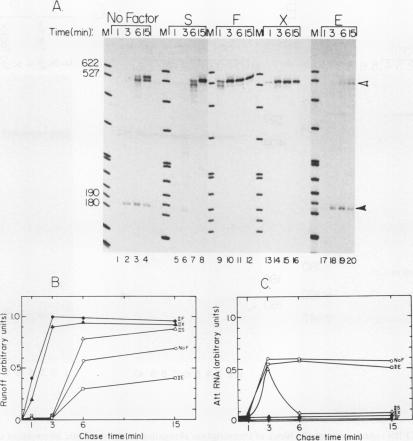 graphic file with name molcellb00166-0027-a.jpg