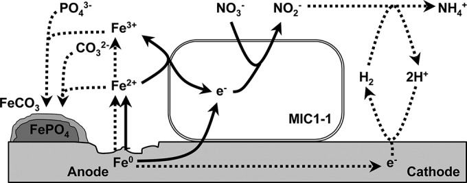 FIG 6