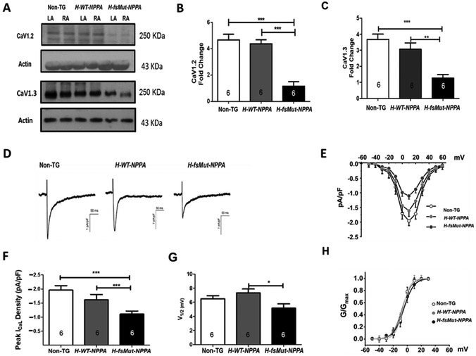 Figure 5: