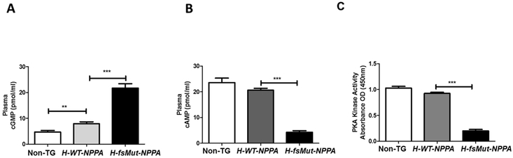 Figure 7: