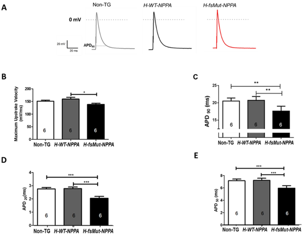 Figure 3: