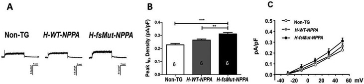 Figure 6: