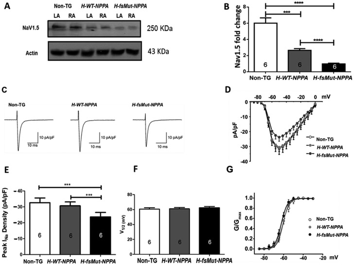 Figure 4: