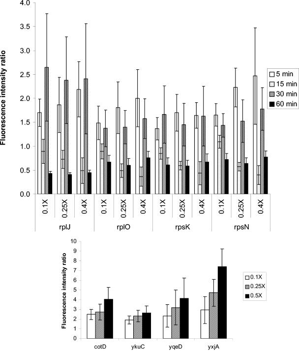 FIG. 2.