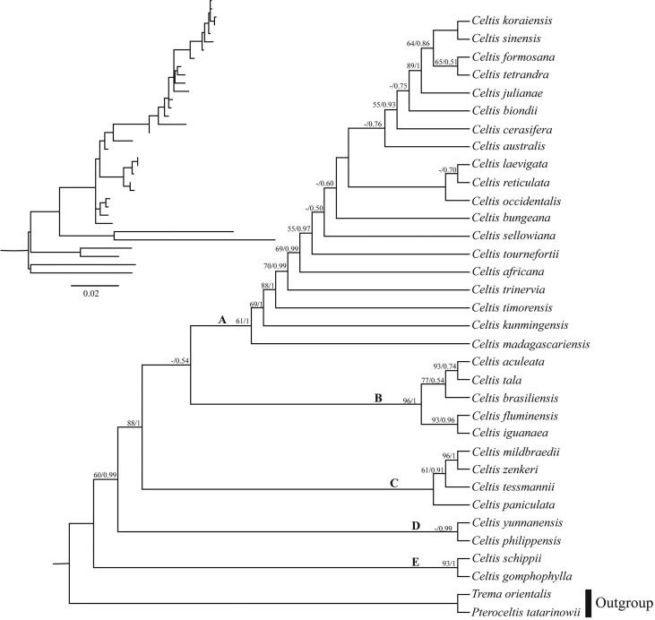 Fig. 8