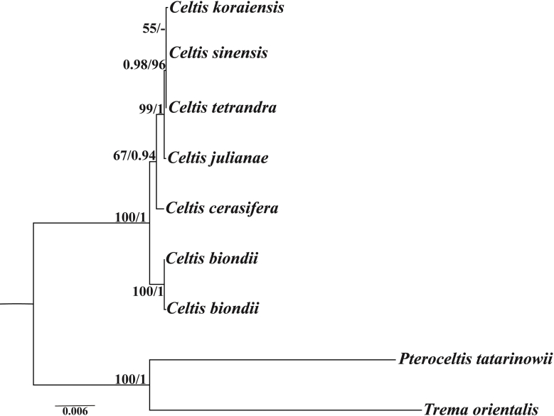 figs1