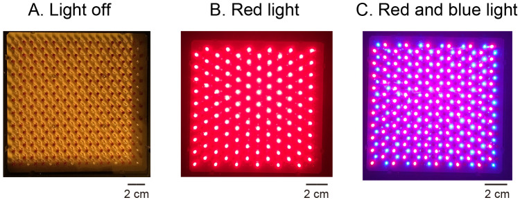 Figure 11.