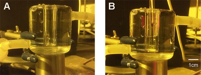 Figure 10.