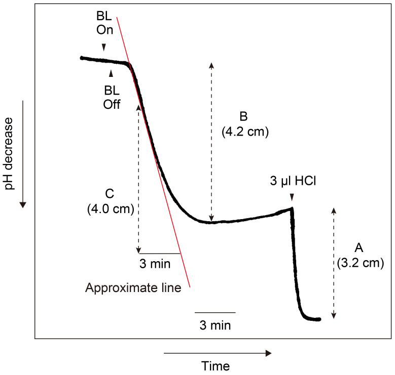 Figure 13.