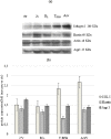 Fig 7