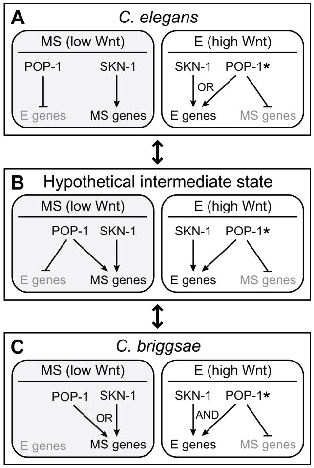 Fig. 8