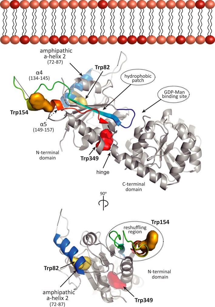 FIGURE 3.