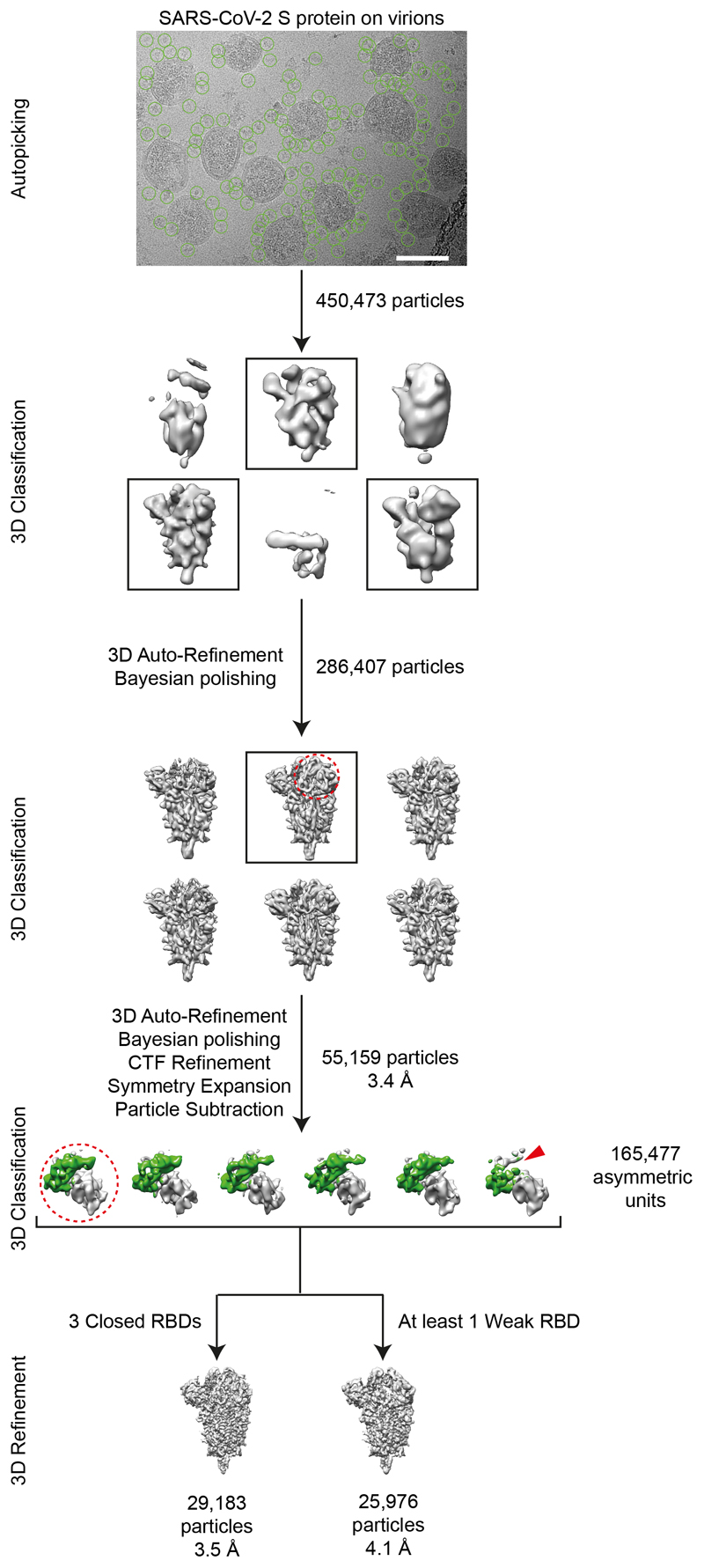 Extended Data Fig. 5