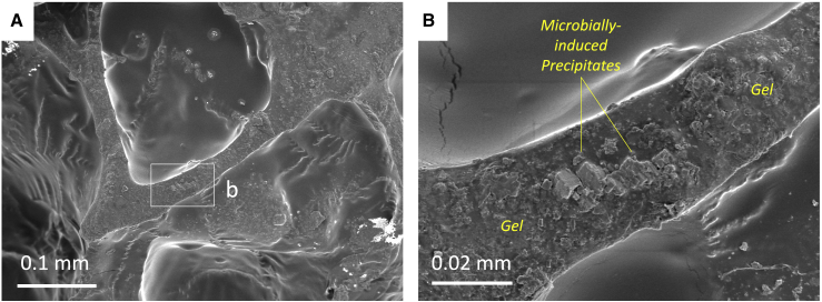 Figure 7