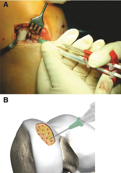 Figure 3.