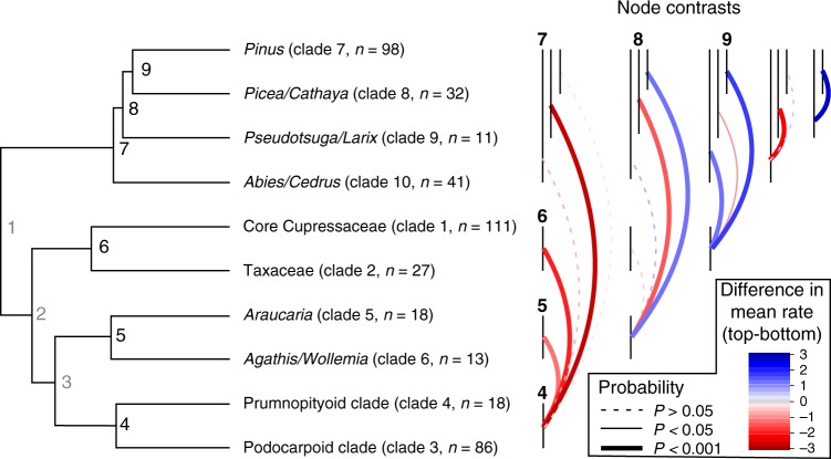 Fig. 5