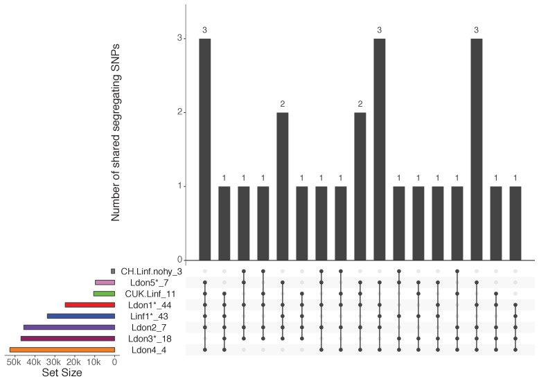 Figure 6—figure supplement 1.