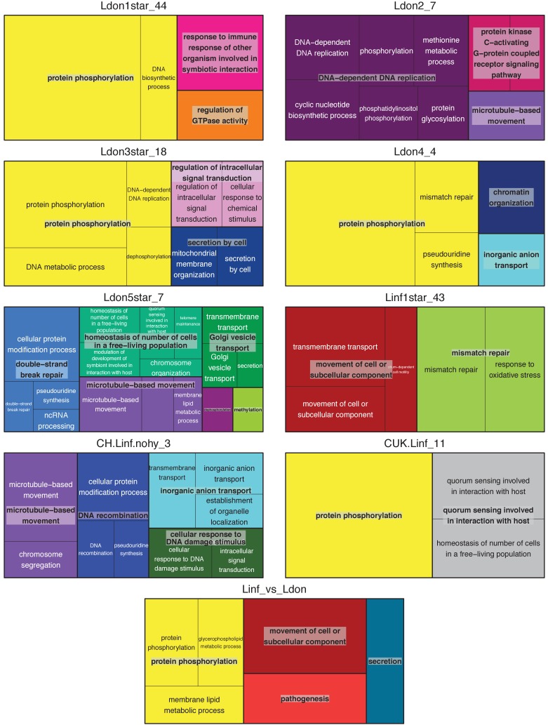 Figure 9—figure supplement 4.