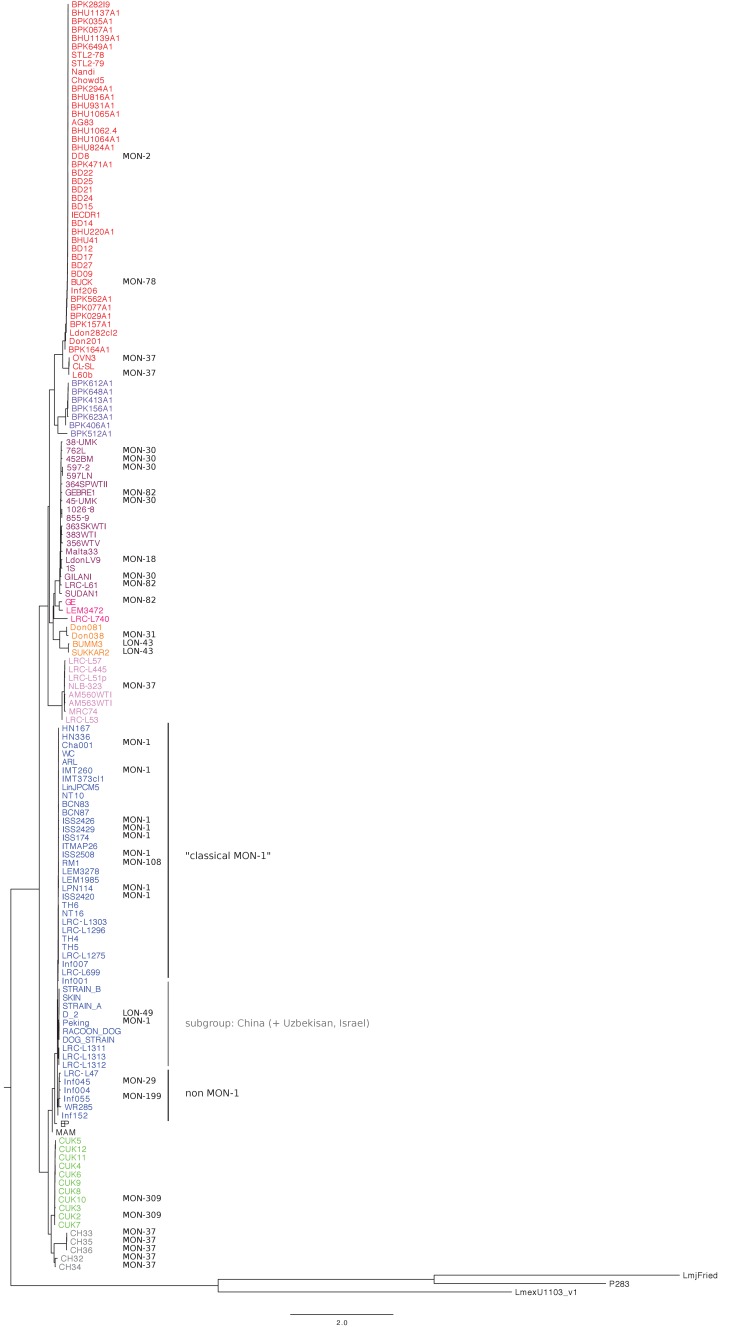 Figure 1—figure supplement 1.