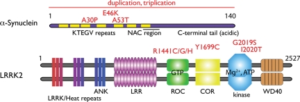 Figure 2.