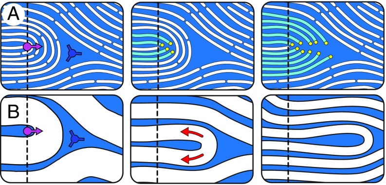 Fig. 10.