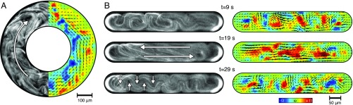 Fig. 9.