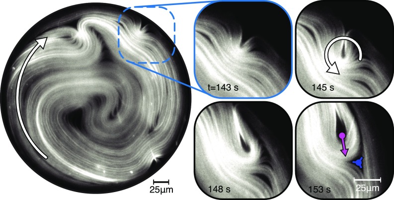 Fig. 8.