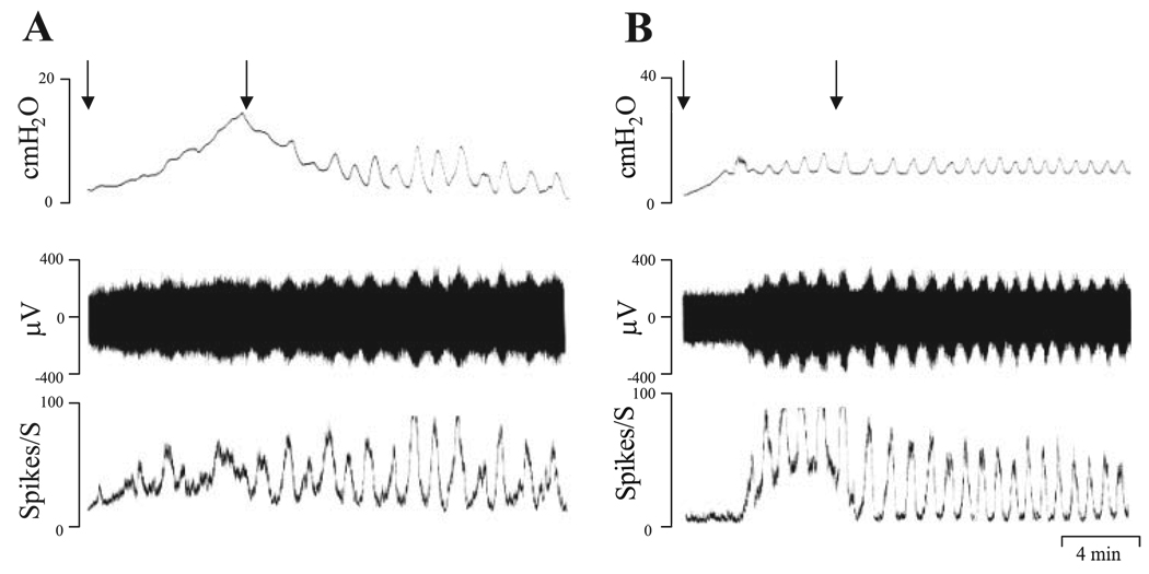 Fig. 8