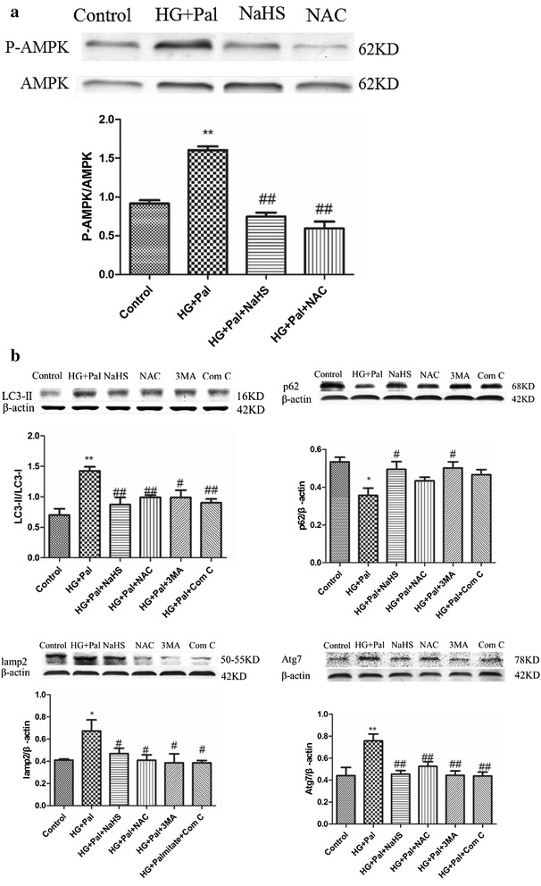 Fig. 4