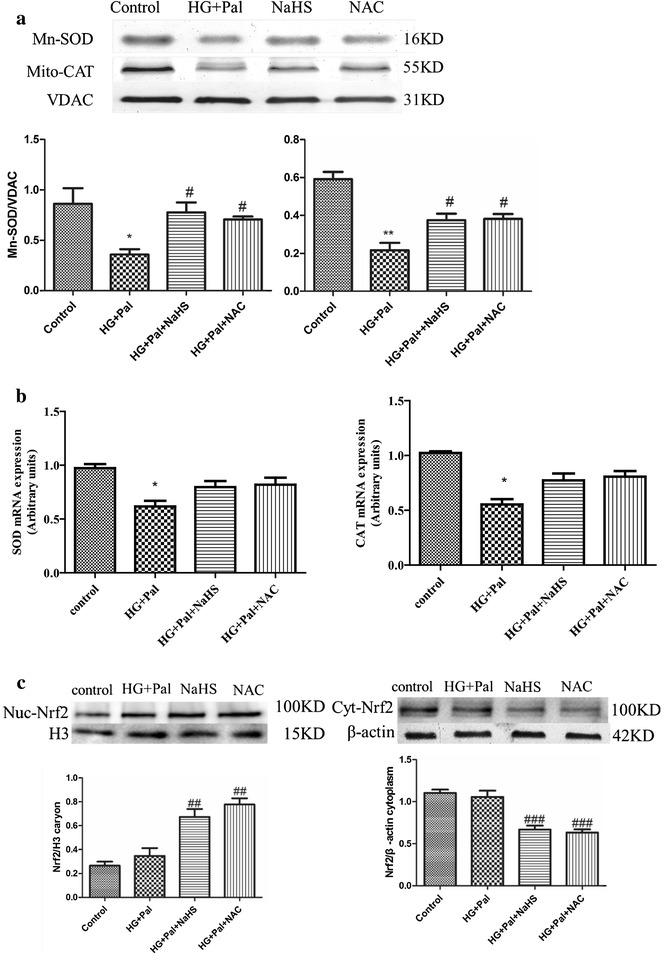 Fig. 7