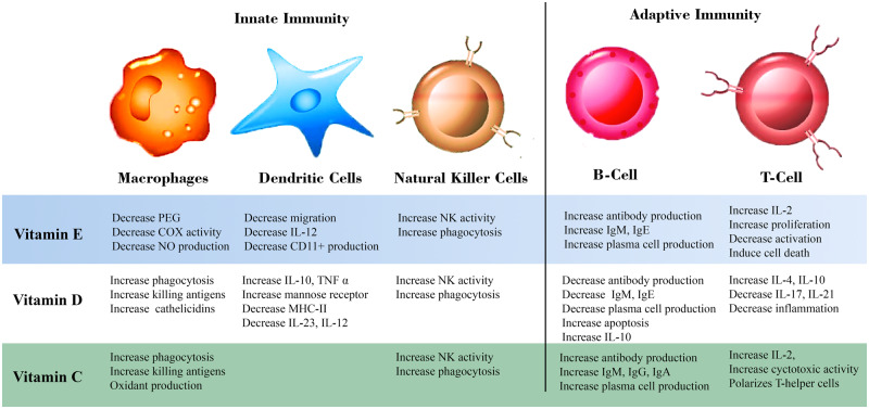 Figure 2