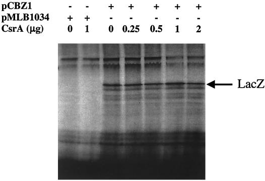 FIG. 9