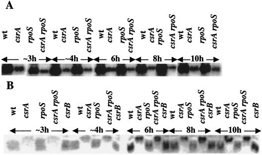 FIG. 5