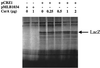 FIG. 9