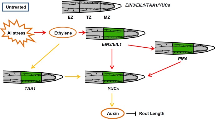 Fig 12