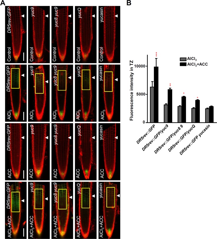 Fig 6