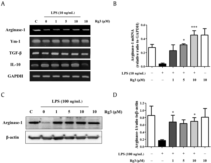 Fig. 4