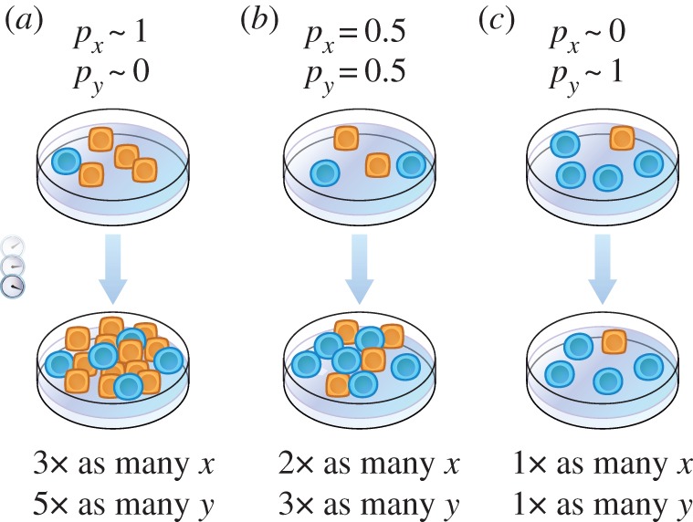 Figure 2.