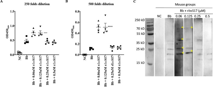 Fig 11