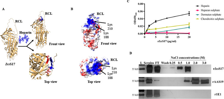 Fig 6