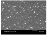 graphic file with name polymers-10-00112-i009.jpg