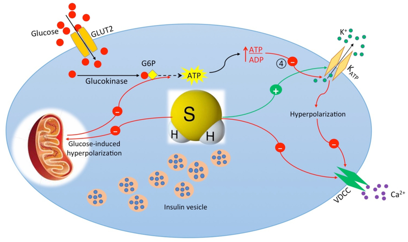 Figure 3.