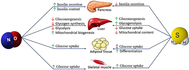 graphic file with name nihms-1569238-f0004.jpg