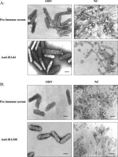 FIG. 6.