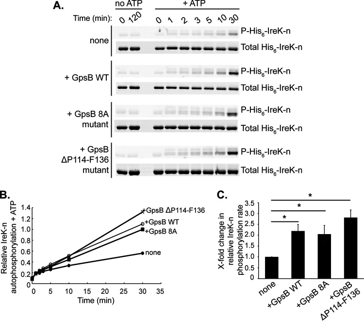 FIG 3