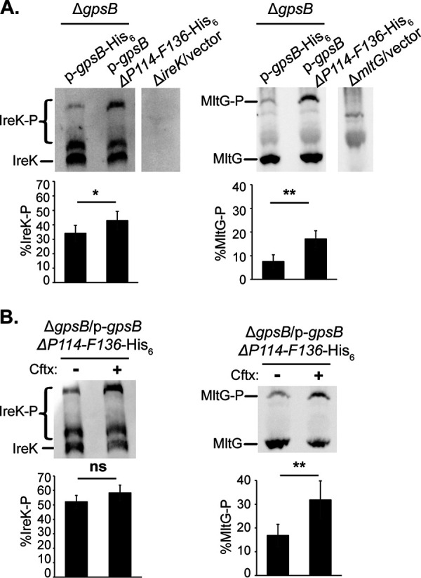 FIG 6