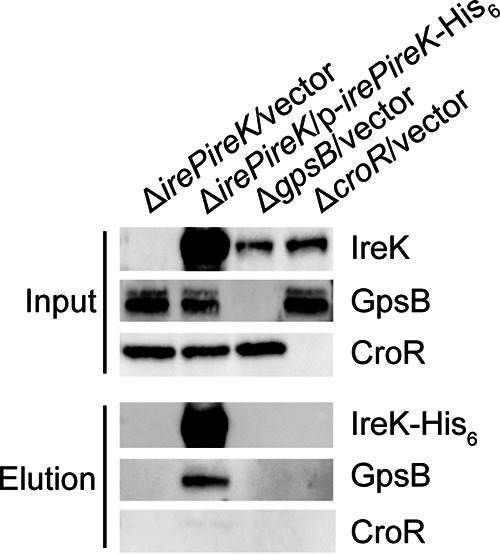 FIG 2